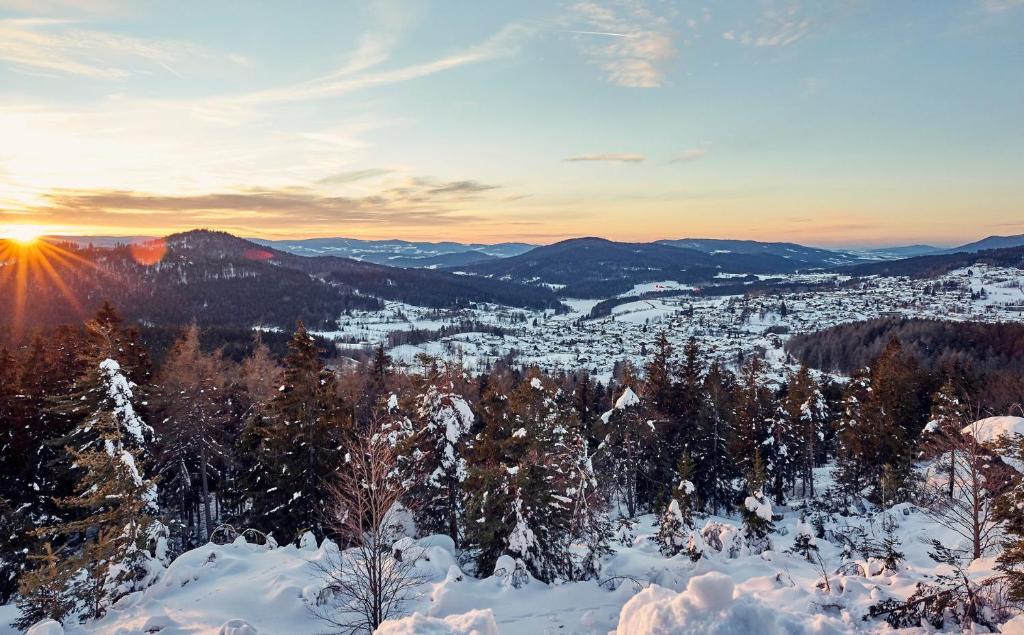 Natura Hotel Bodenmais - inkl Soft- und Heißgetränkeflat - 16