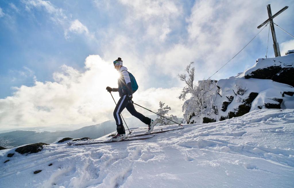 Natura Hotel Bodenmais - inkl Soft- und Heißgetränkeflat - 18