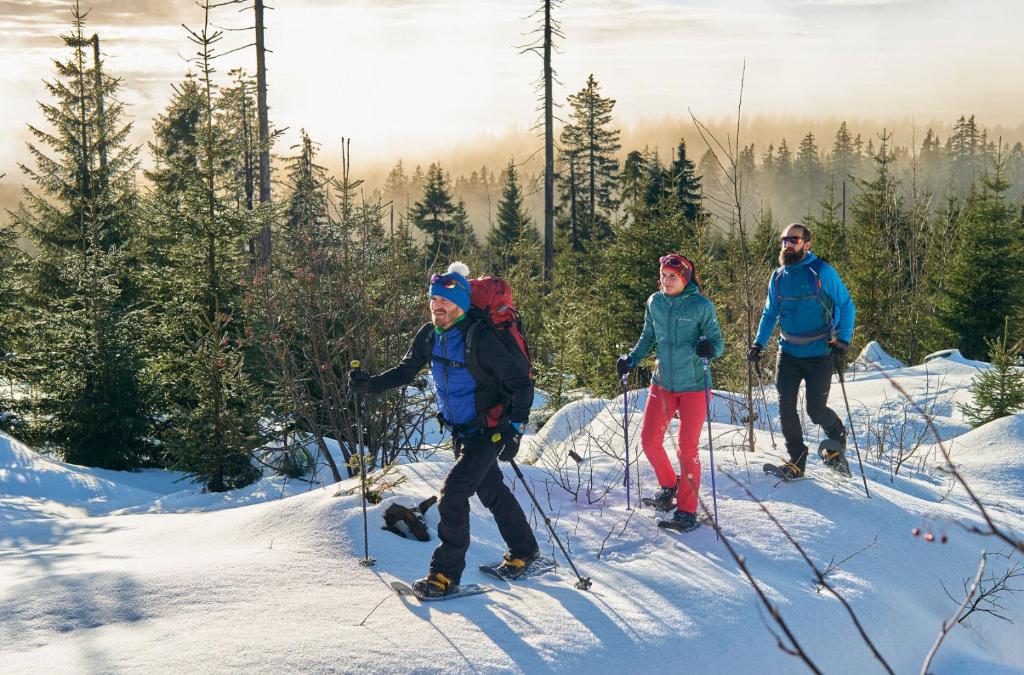Natura Hotel Bodenmais - inkl Soft- und Heißgetränkeflat - 15
