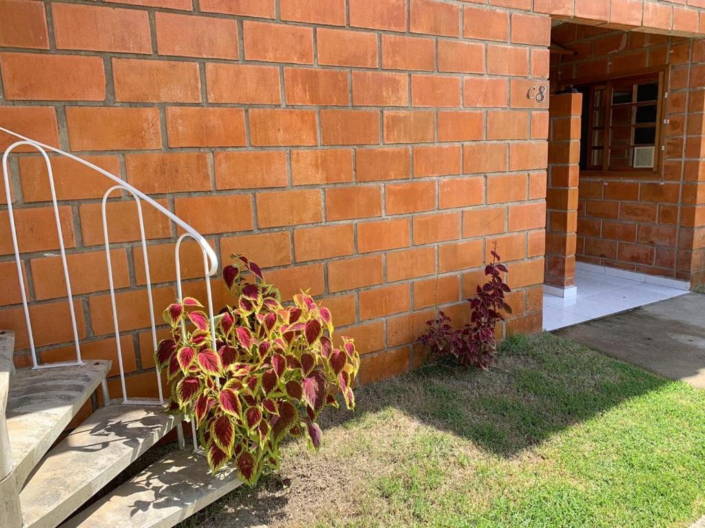  Apartamento Ubatuba TOP