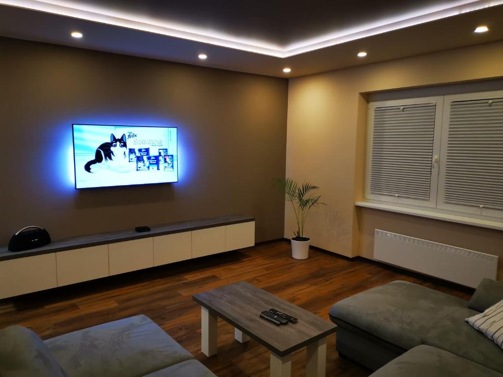 un soggiorno con divano e TV a parete di Bonito apartment a Postumia