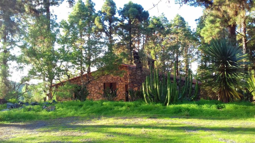 Casas rurales Monte frio de Tenerife en La Guancha, Tenerife