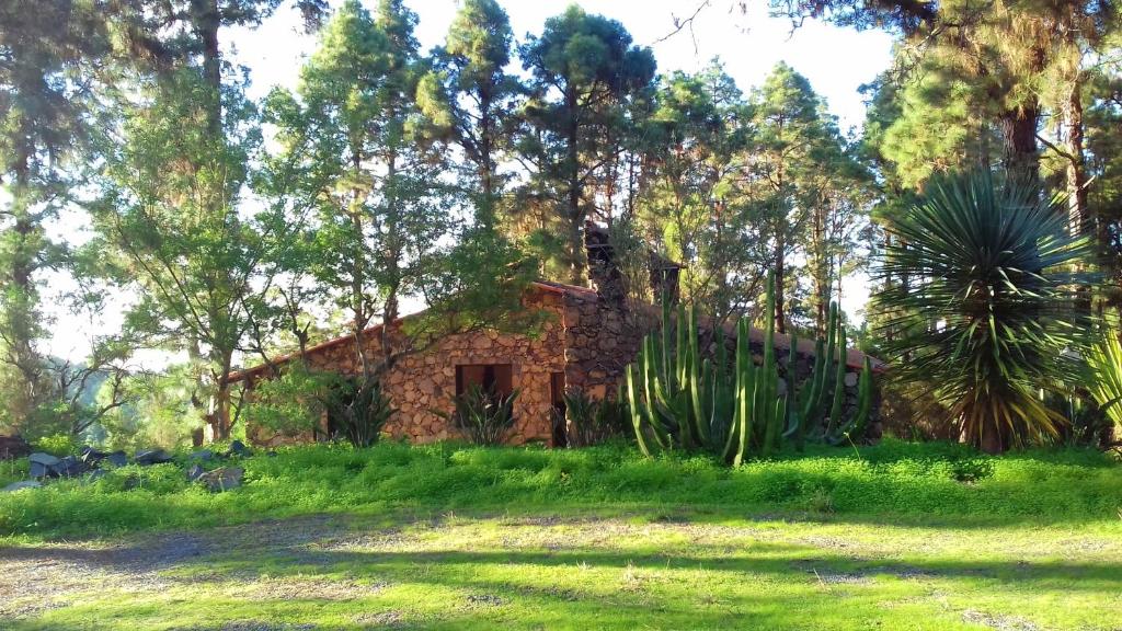 una vieja casa de piedra en un campo con cactus en Monte frio de Tenerife en La Guancha