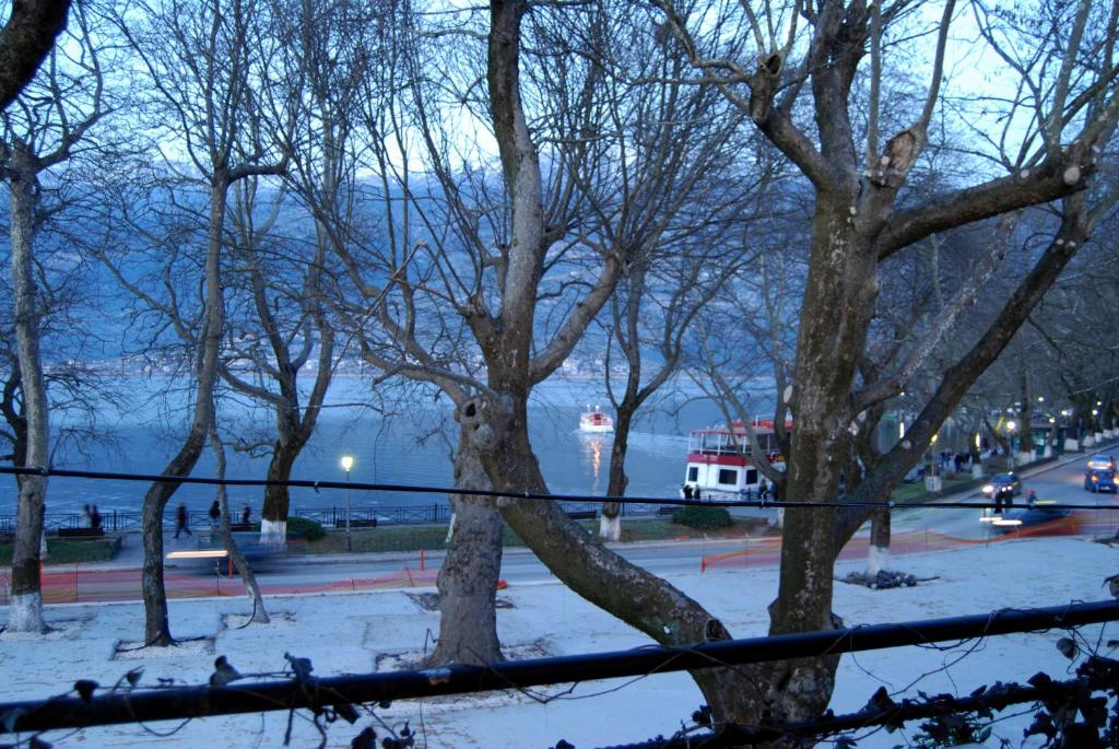 eine Gruppe von Bäumen mit Schnee auf dem Boden in der Unterkunft Lake view apartment in Ioannina