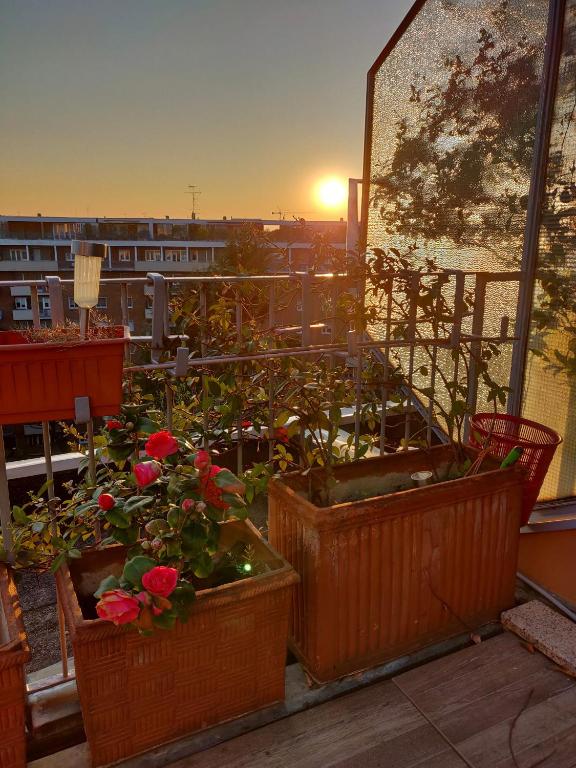 Pohľad na východ alebo západ slnka z apartmánu alebo blízkeho okolia