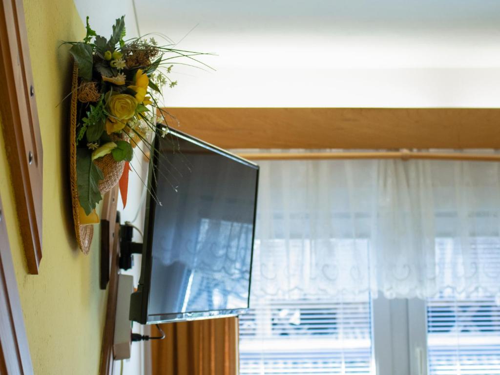 TV a/nebo společenská místnost v ubytování Apartments and Rooms Ražen