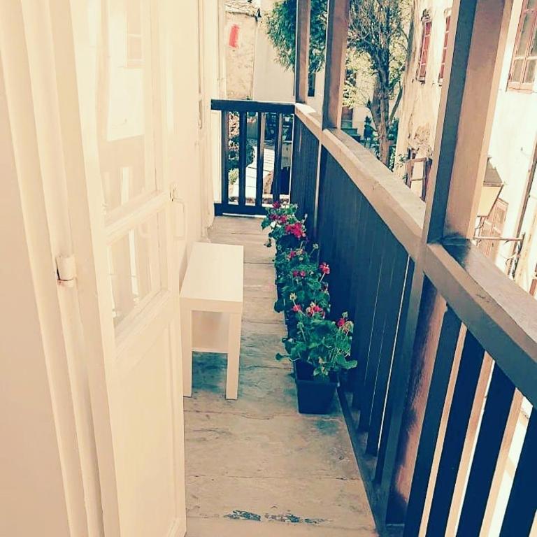 Camino de Estrellas Mondoñedo Lugo - 6