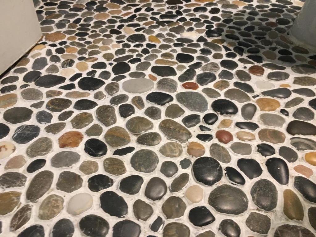 un sol recouvert de rochers et de graviers dans l'établissement La GEMMA del Quadrilatero, à Turin