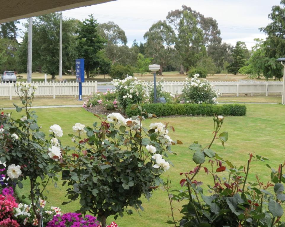 a garden with flowers and a white fence at Culverden Court Motel in Culverden