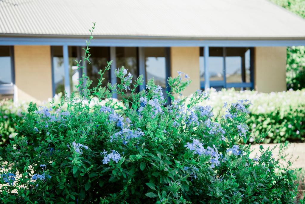 Zahrada ubytování Tranquil Vale Vineyard