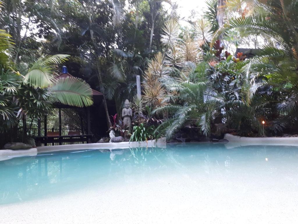 a swimming pool with palm trees in the background at Alaya Escape in Eudlo
