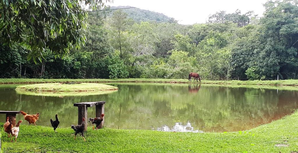  Fazenda Três Marias