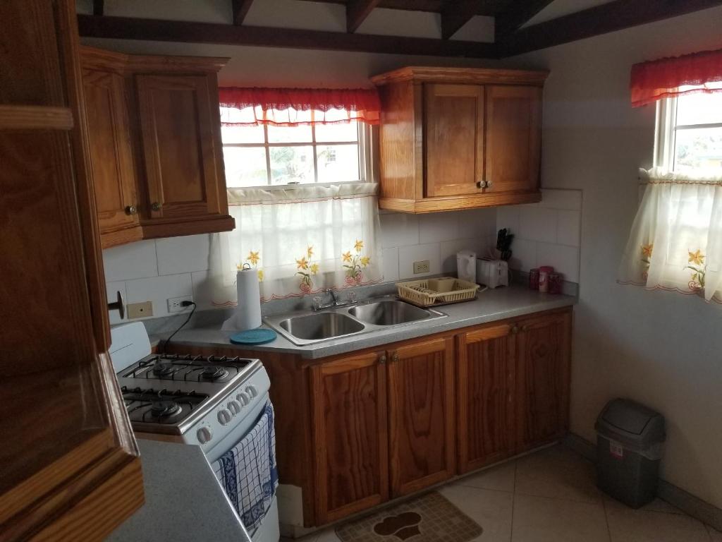 a kitchen with wooden cabinets and a stove and a sink at Breezy Apts in Saint Philip
