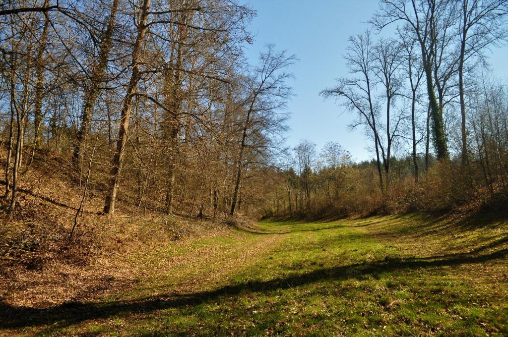 Příroda nedaleko hotelu