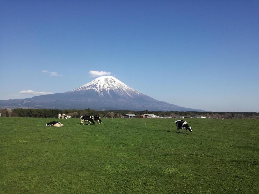 活動歴および当時の関連ビジュアル記録
