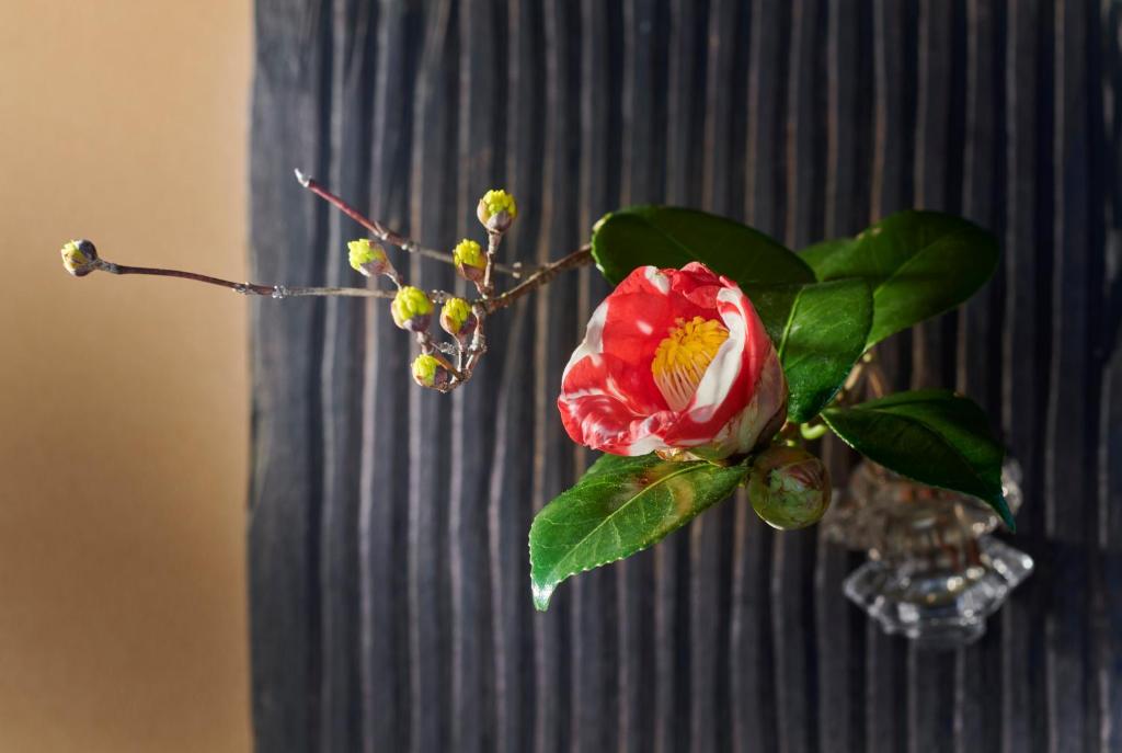 Fotografie z fotogalerie ubytování Arima Onsen Takayamaso Hanano v destinaci Kóbe