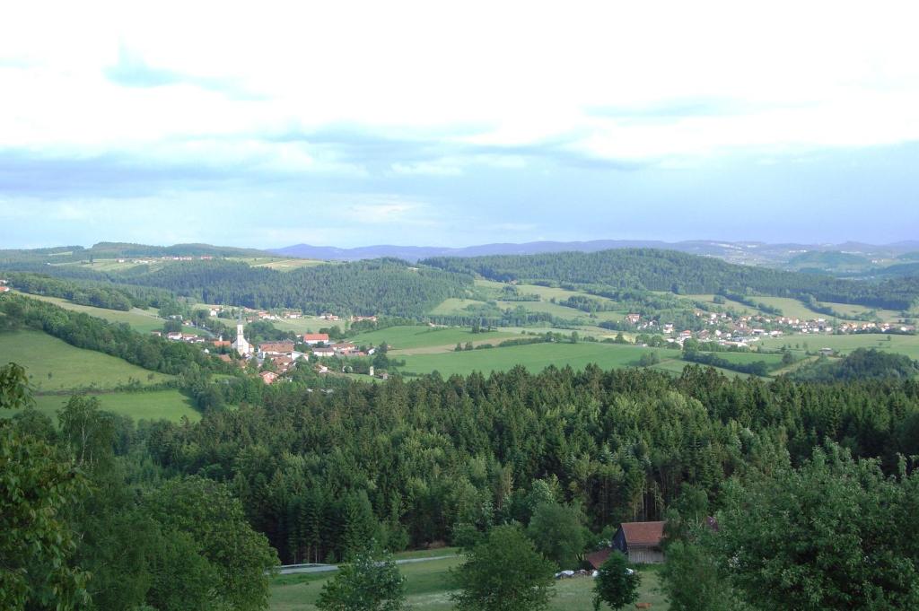 Příroda nedaleko apartmánu