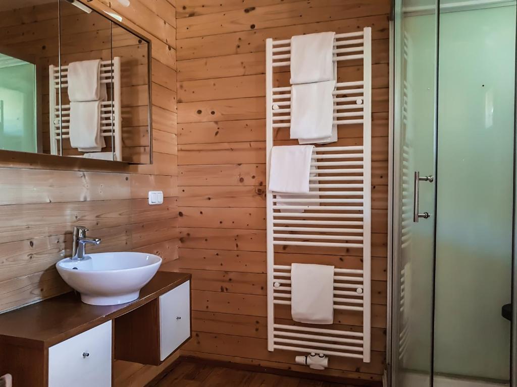 bagno con lavandino e doccia in vetro di Weigl Hütte Semmering a Semmering