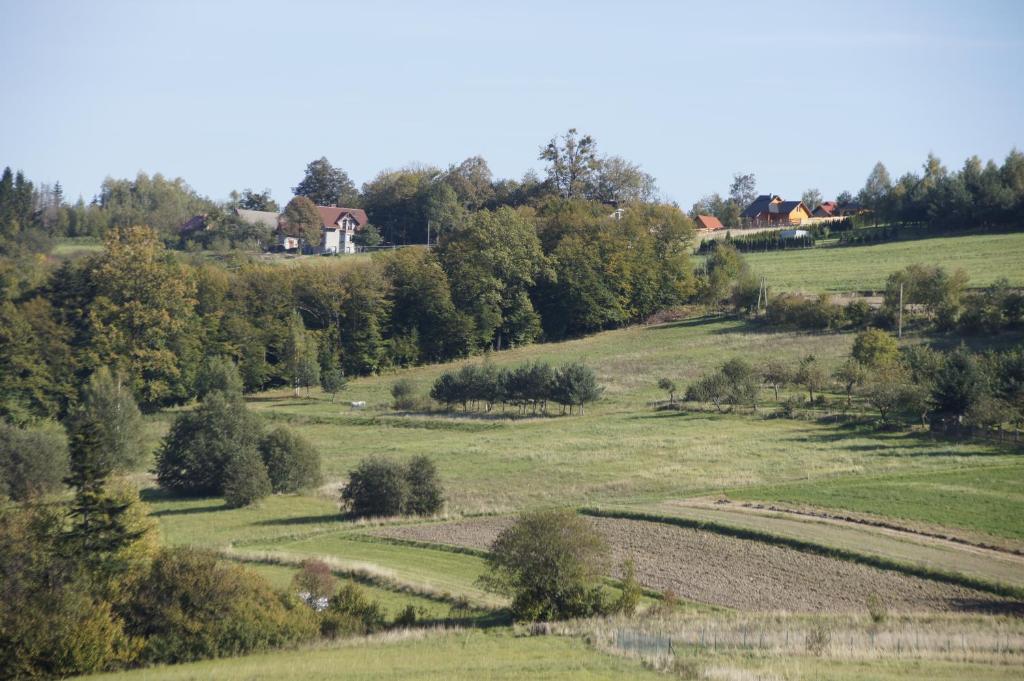 Příroda nedaleko chaty