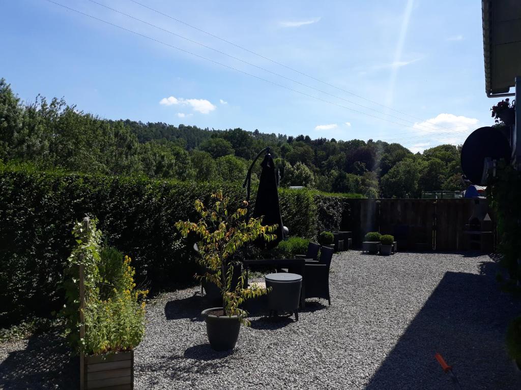 Zahrada ubytování Bungalow Belle Vue - Camping International - Bomal - Durbuy