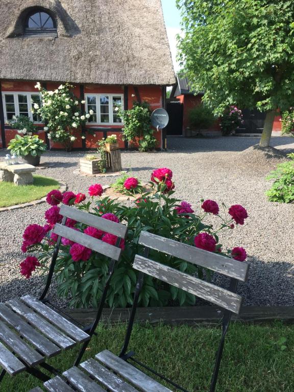 Zahrada ubytování Lolland Bed & Breakfast