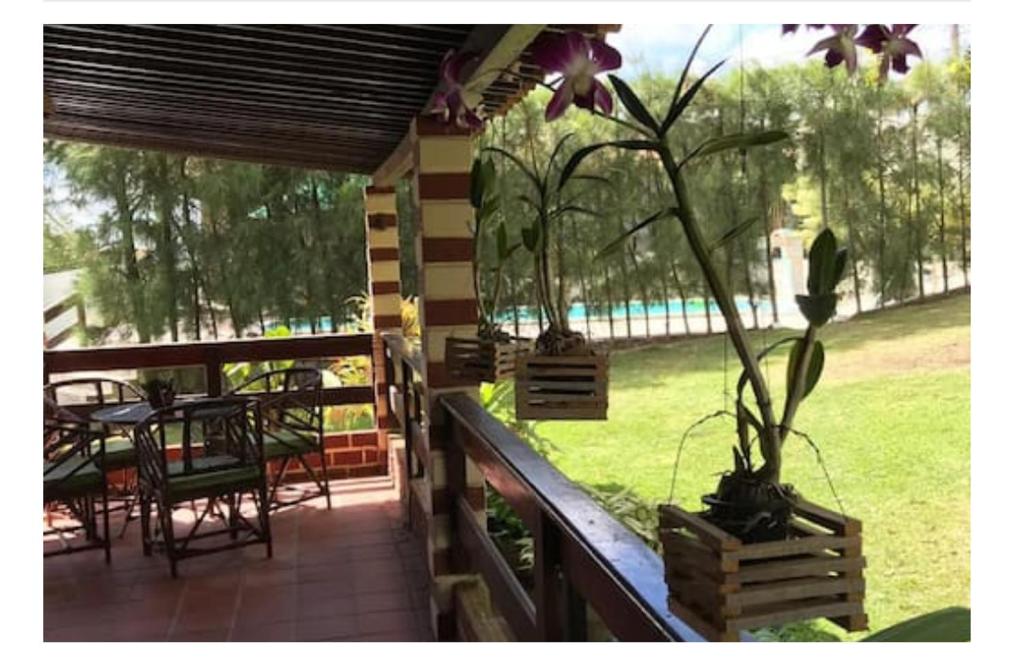 une terrasse couverte avec une table, des chaises et des plantes dans l'établissement Paz, aconchego e lazer em Gravatá, à Gravatá