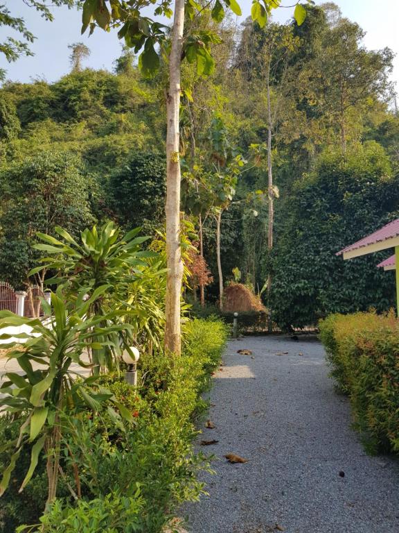 Ban suan Kanthima Resort - Housity
