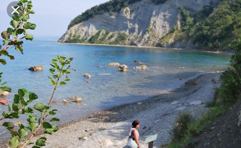 Pokrajina v okolici apartmaja