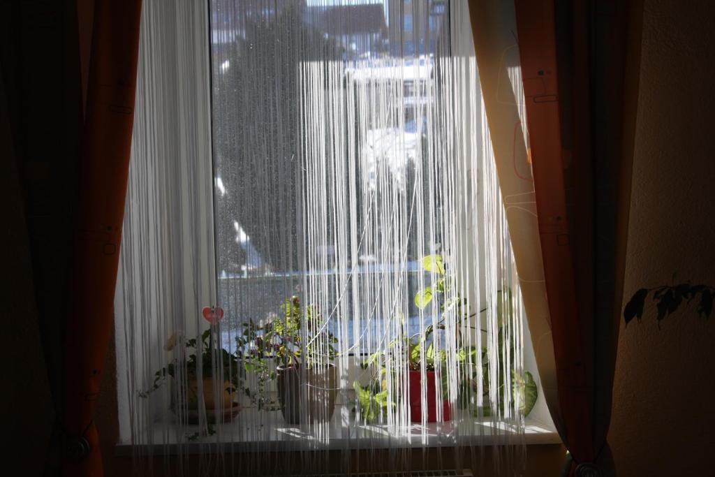 Fotografia z galérie ubytovania Ferienapartment Ulrike v destinácii Engelstein