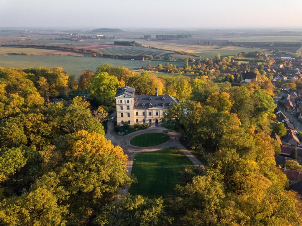 una vista aérea de una mansión en los árboles en Chateau Mcely en Mcely