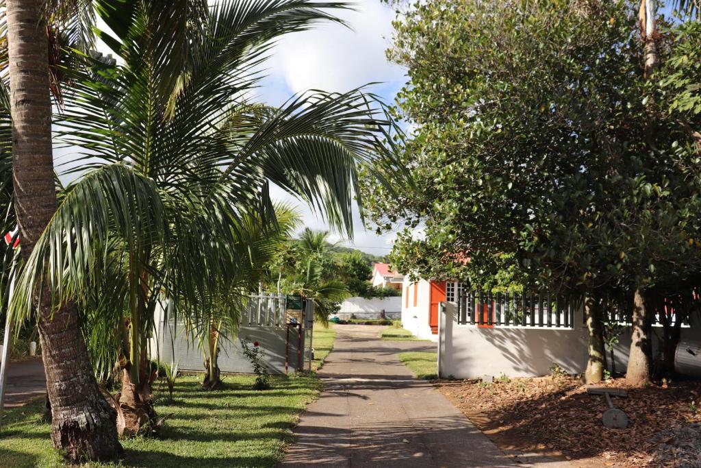a street with palm trees and a sidewalk at Gite les Bananiers in Saint-Joseph