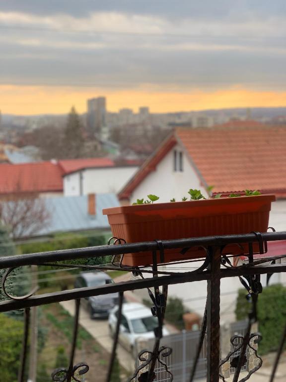 Balkón nebo terasa v ubytování Casa Famous