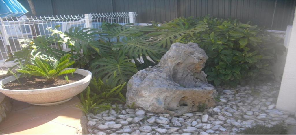 Fotografie z fotogalerie ubytování Casa Teresinha v destinaci Sesimbra