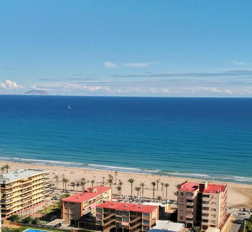 uitzicht op een strand met palmbomen en gebouwen bij Apartamento Leo Playa de San Juan in Alicante