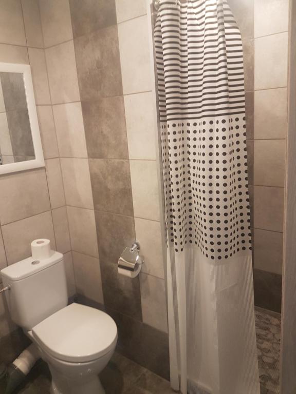 a bathroom with a toilet and a shower at Noclegi u Andrzeja in Gdańsk