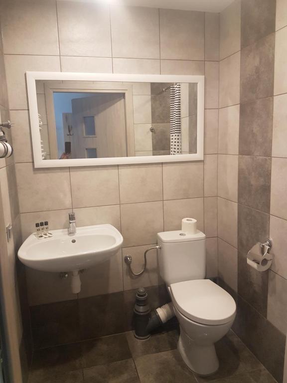 a bathroom with a toilet and a sink and a mirror at Noclegi u Andrzeja in Gdańsk