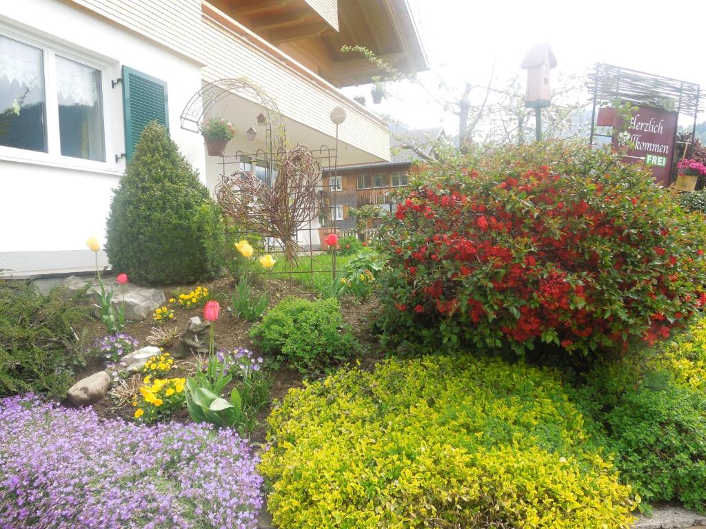 Zahrada ubytování Gästehaus Graf