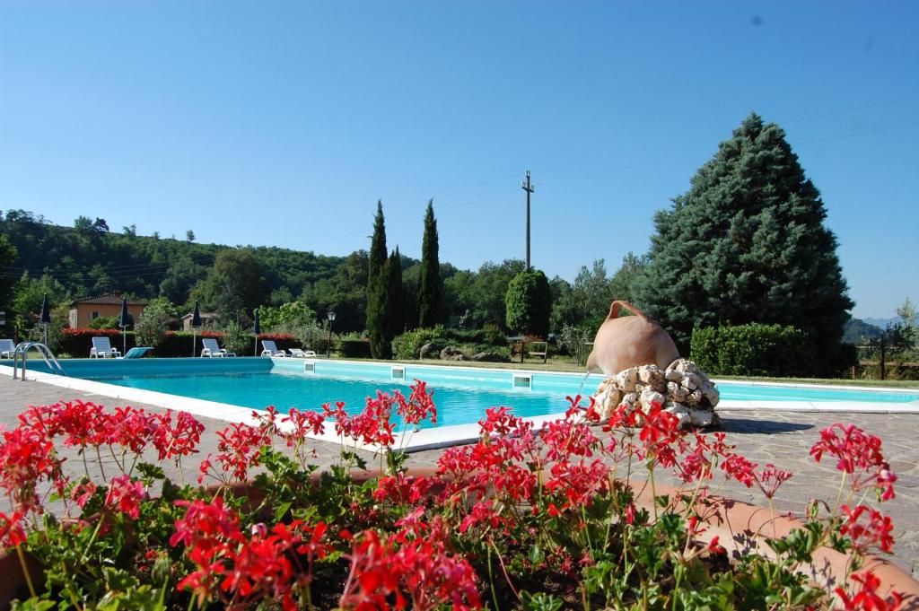 A piscina localizada em Fattoria Antognoni ou nos arredores