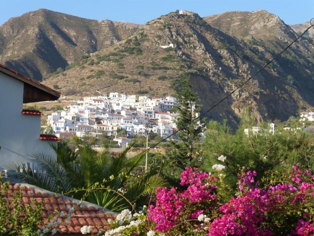 a town on a mountain with pink flowers at Aperi View in Karpathos