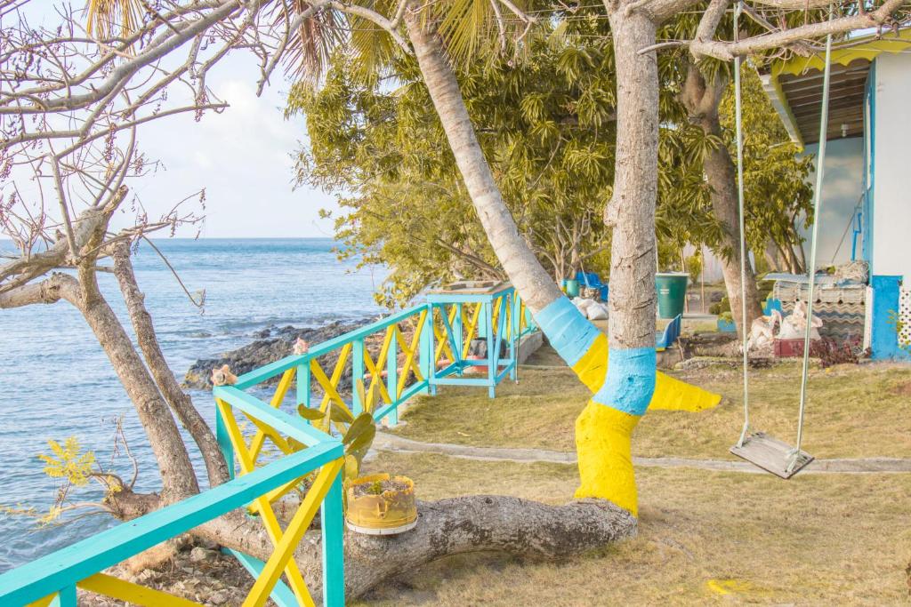 a swing on a tree on the beach at Posada Salt Creek in Providencia