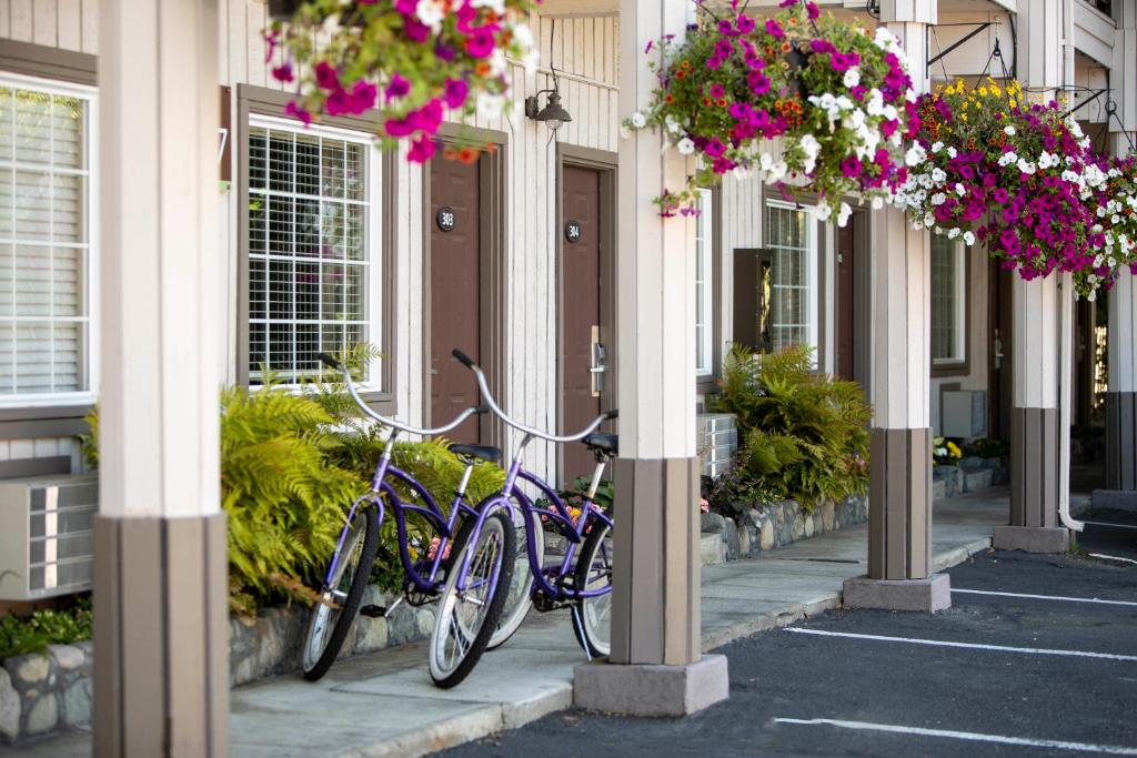 Jízda na kole v ubytování Earthbox Inn & Spa nebo okolí