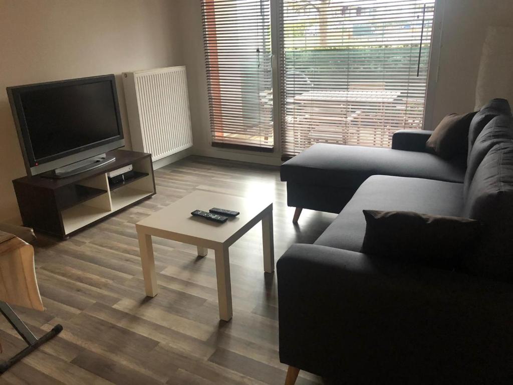 uma sala de estar com um sofá, uma televisão e uma mesa em Résidence Le Parc 68 em Colmar