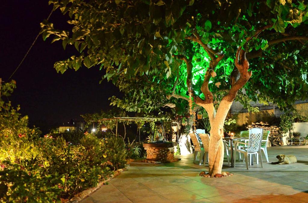 A garden outside Kamara Stone House