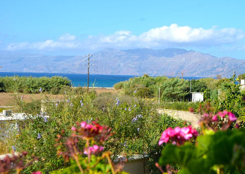 Táj Show holiday homes közelében