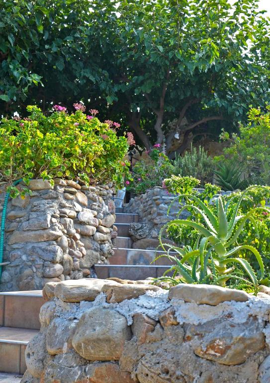 A garden outside Kamara Stone House