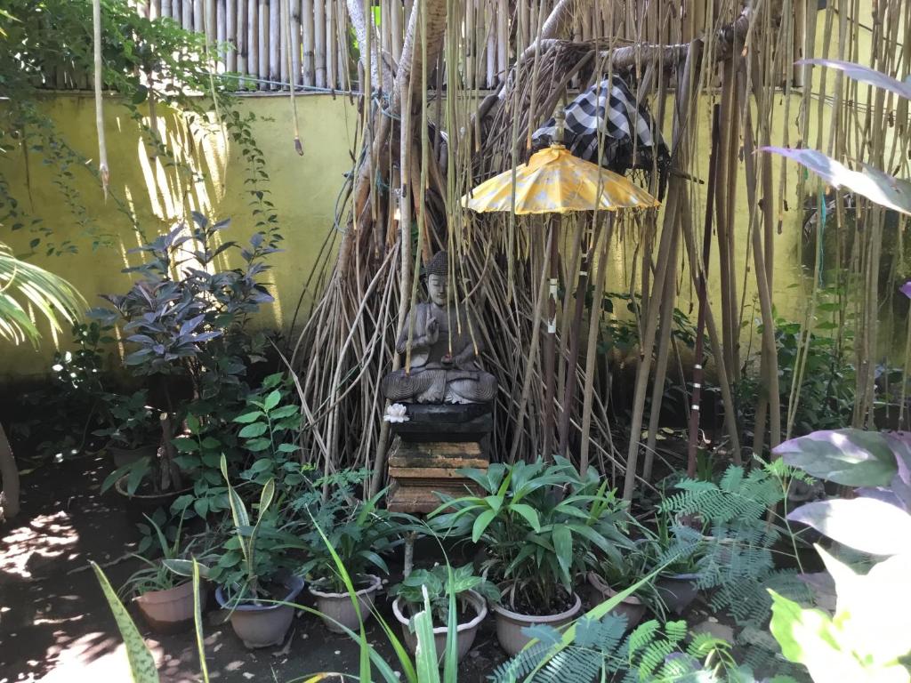 Zahrada ubytování Gili Nyepi