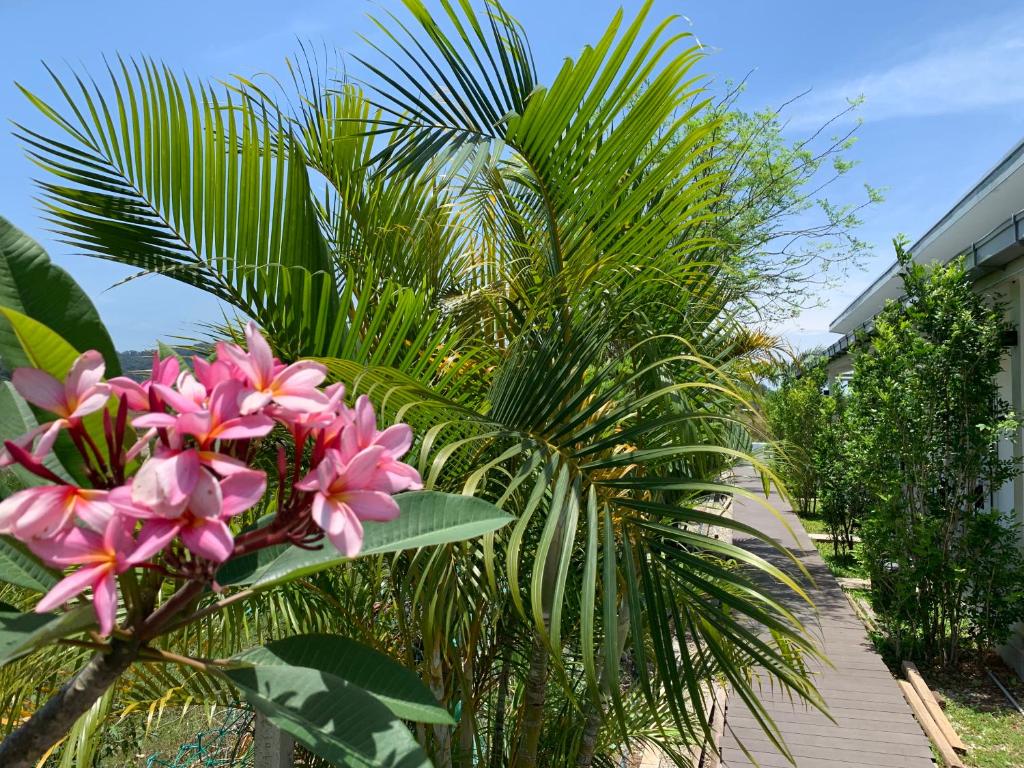 Zahrada ubytování Cloud9 Holiday Cottages