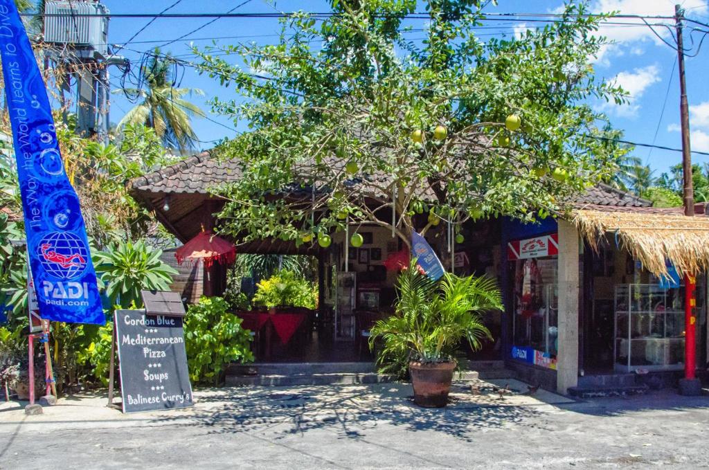 a store with a tree in front of it at La Bila Dive Resort Amed in Amed