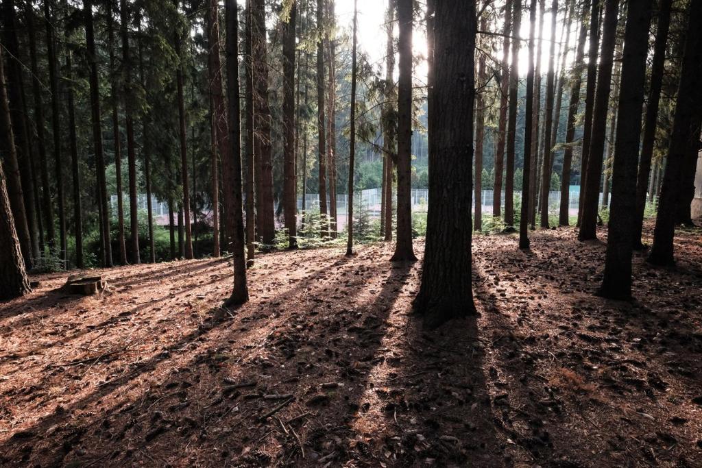 Příroda nedaleko hotelu