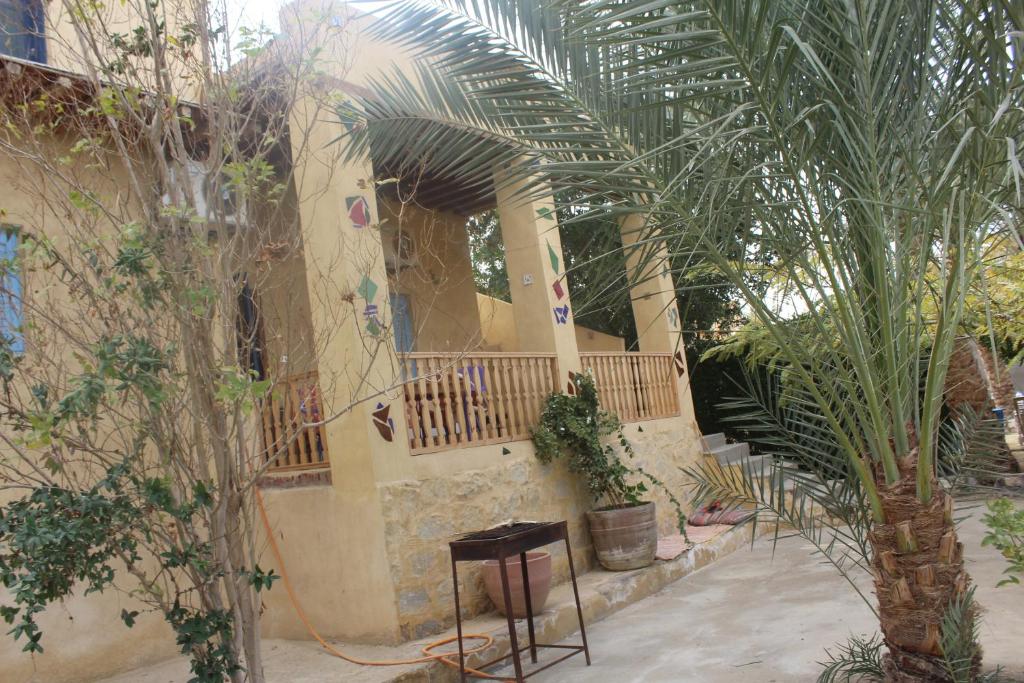 Zahrada ubytování villa tunis village